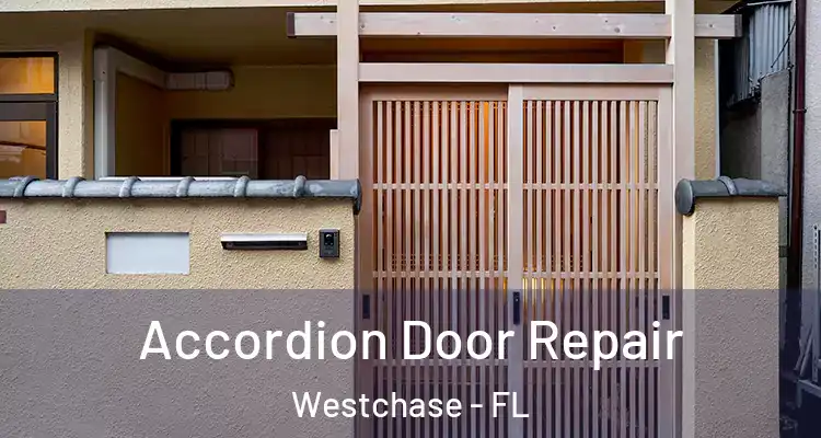  Accordion Door Repair Westchase - FL
