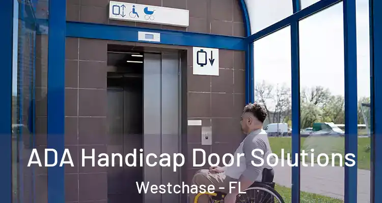  ADA Handicap Door Solutions Westchase - FL