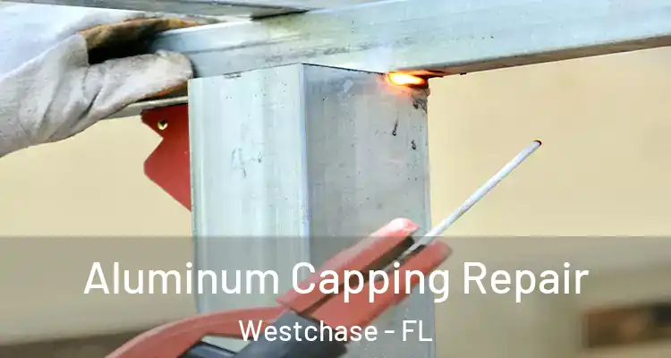  Aluminum Capping Repair Westchase - FL