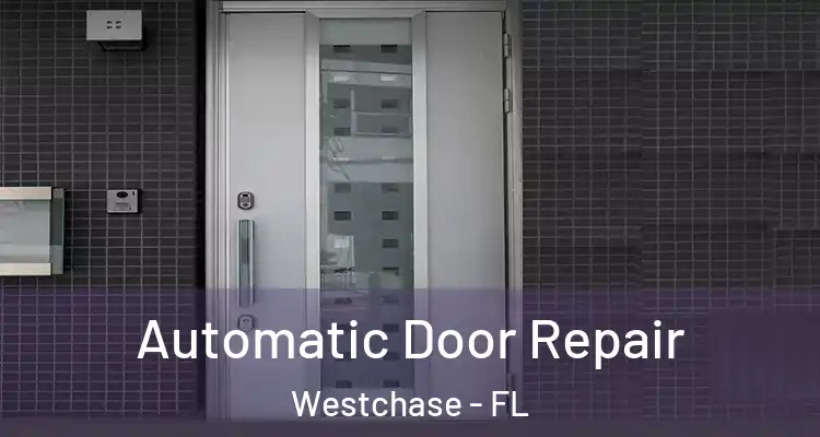  Automatic Door Repair Westchase - FL