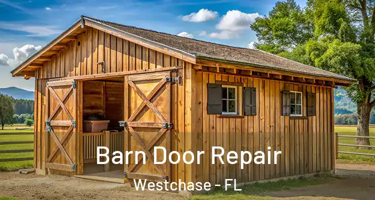  Barn Door Repair Westchase - FL