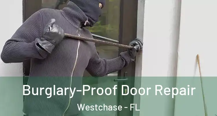 Burglary-Proof Door Repair Westchase - FL