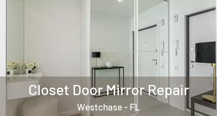  Closet Door Mirror Repair Westchase - FL