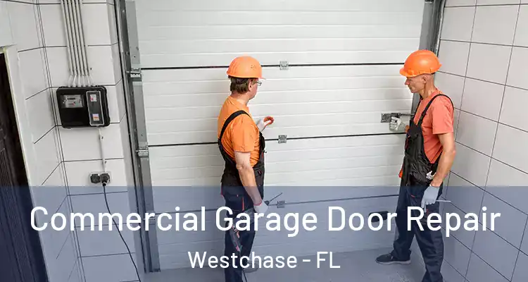  Commercial Garage Door Repair Westchase - FL