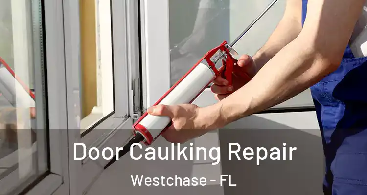  Door Caulking Repair Westchase - FL