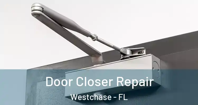  Door Closer Repair Westchase - FL