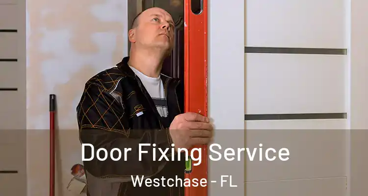  Door Fixing Service Westchase - FL