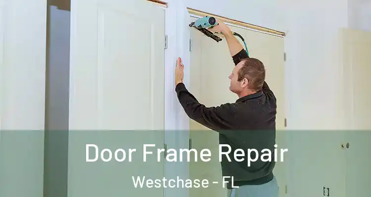  Door Frame Repair Westchase - FL