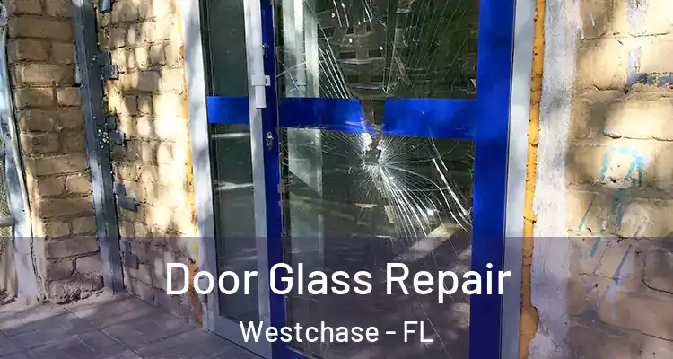  Door Glass Repair Westchase - FL