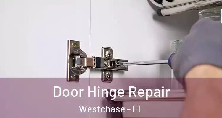  Door Hinge Repair Westchase - FL