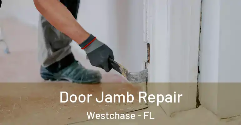  Door Jamb Repair Westchase - FL