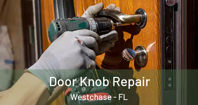  Door Knob Repair Westchase - FL