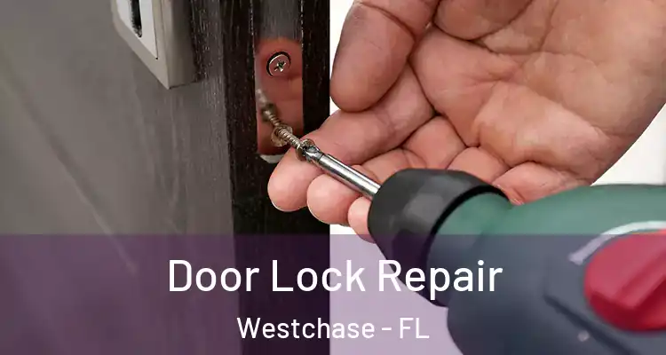  Door Lock Repair Westchase - FL