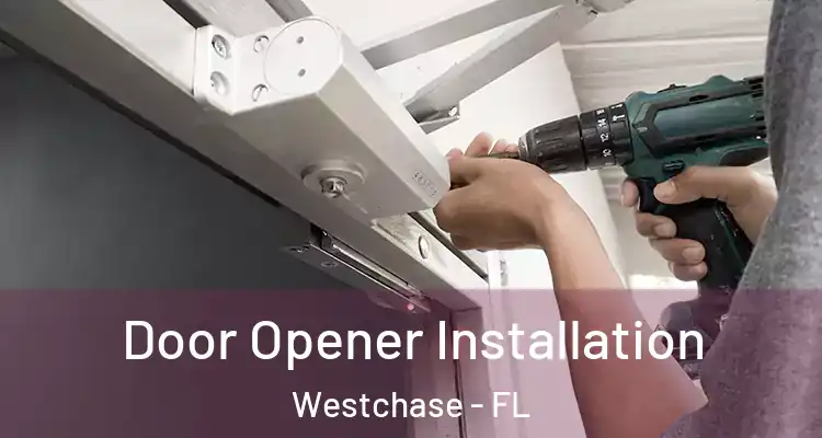 Door Opener Installation Westchase - FL