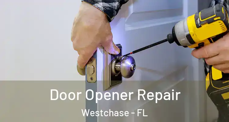  Door Opener Repair Westchase - FL
