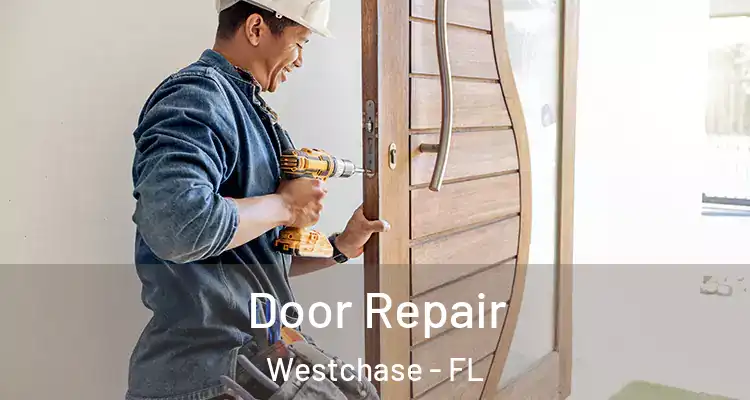  Door Repair Westchase - FL
