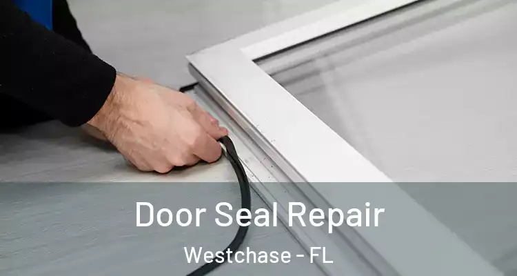  Door Seal Repair Westchase - FL