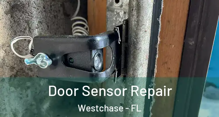  Door Sensor Repair Westchase - FL