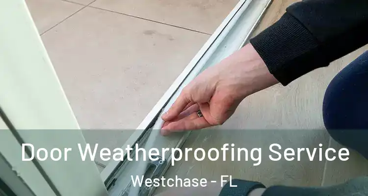  Door Weatherproofing Service Westchase - FL