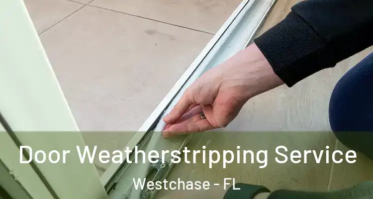 Door Weatherstripping Service Westchase - FL