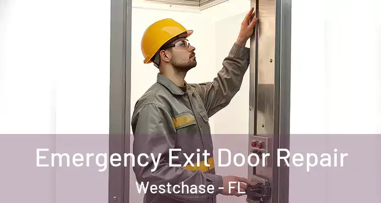  Emergency Exit Door Repair Westchase - FL