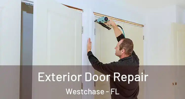  Exterior Door Repair Westchase - FL