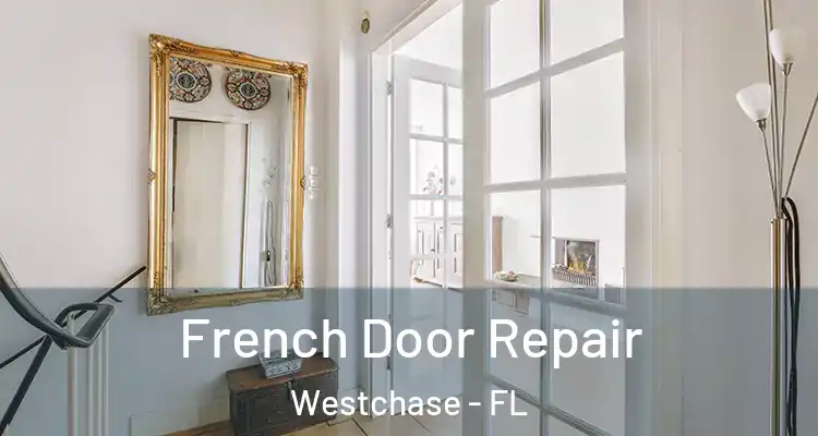  French Door Repair Westchase - FL