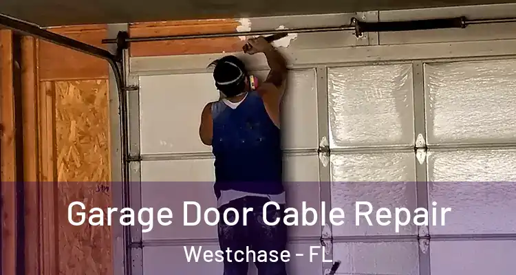  Garage Door Cable Repair Westchase - FL