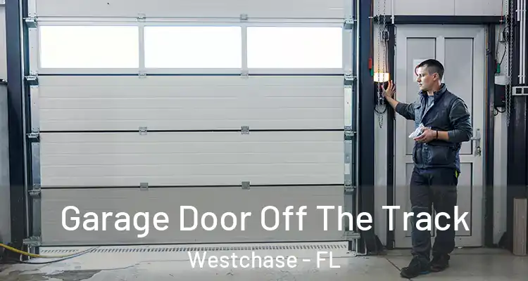  Garage Door Off The Track Westchase - FL