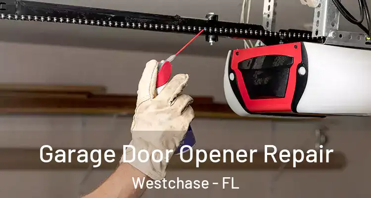  Garage Door Opener Repair Westchase - FL