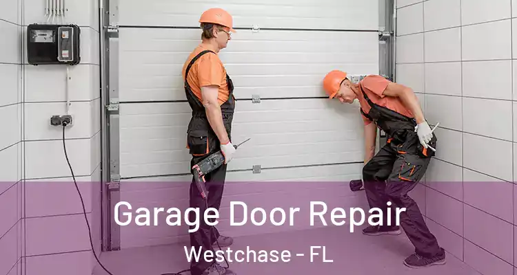  Garage Door Repair Westchase - FL
