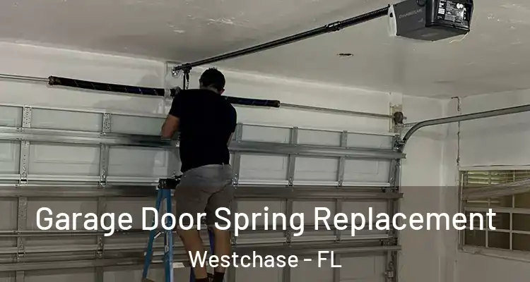  Garage Door Spring Replacement Westchase - FL
