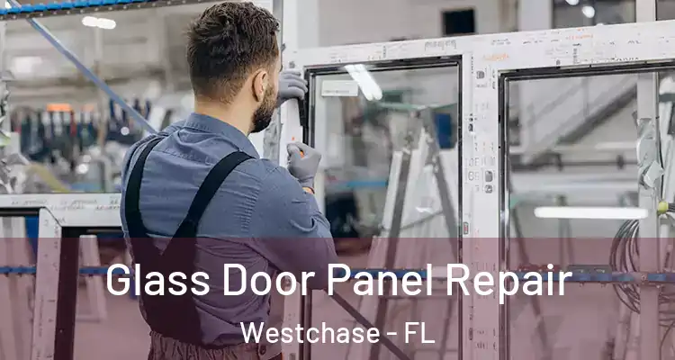  Glass Door Panel Repair Westchase - FL