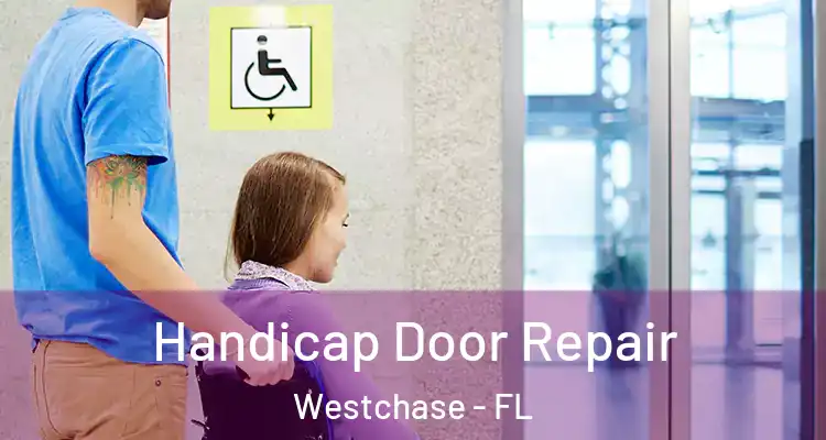  Handicap Door Repair Westchase - FL