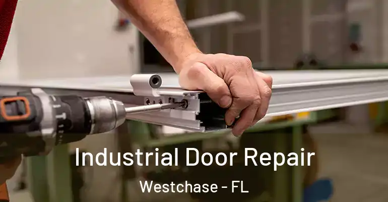  Industrial Door Repair Westchase - FL