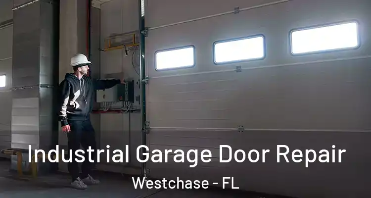  Industrial Garage Door Repair Westchase - FL