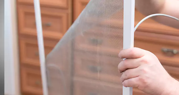 Privacy Mesh Screen Door Installation in Westchase, FL