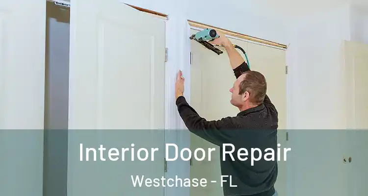  Interior Door Repair Westchase - FL