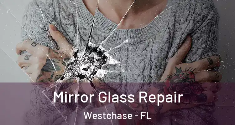  Mirror Glass Repair Westchase - FL