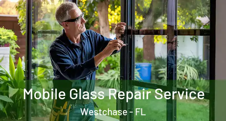  Mobile Glass Repair Service Westchase - FL