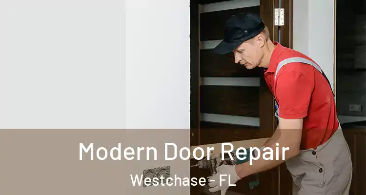  Modern Door Repair Westchase - FL