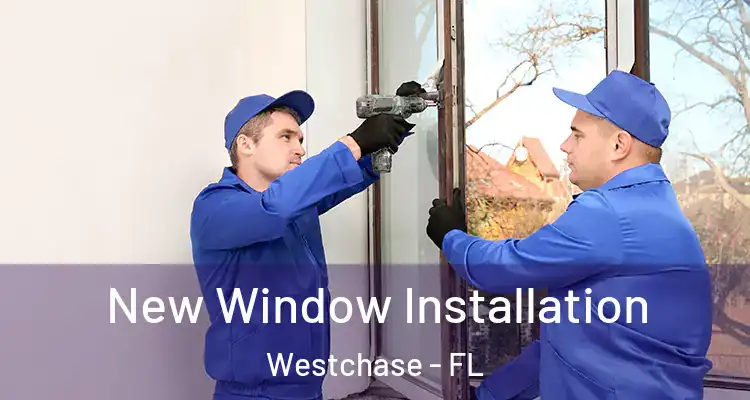  New Window Installation Westchase - FL