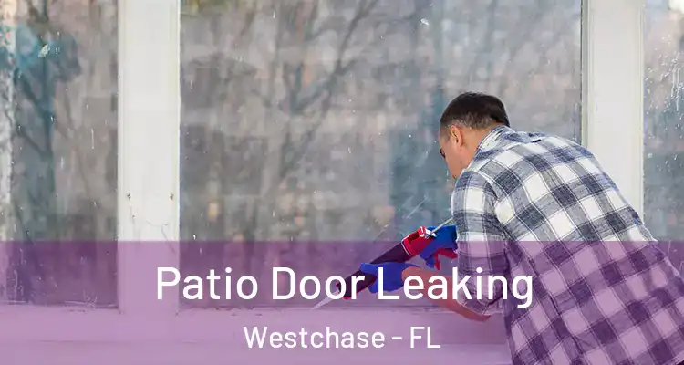  Patio Door Leaking Westchase - FL