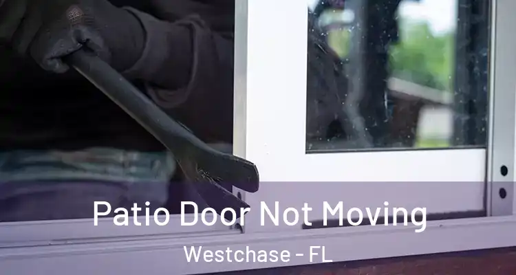  Patio Door Not Moving Westchase - FL