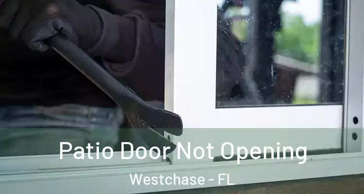  Patio Door Not Opening Westchase - FL