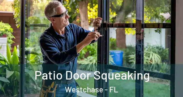  Patio Door Squeaking Westchase - FL