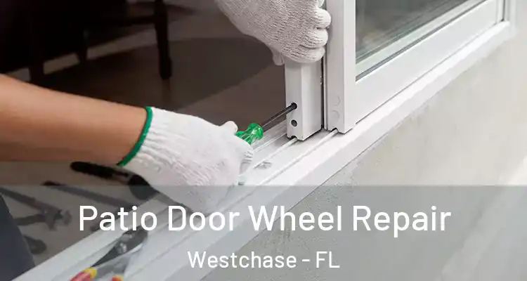  Patio Door Wheel Repair Westchase - FL