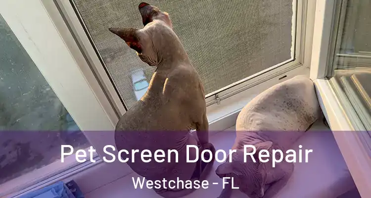  Pet Screen Door Repair Westchase - FL