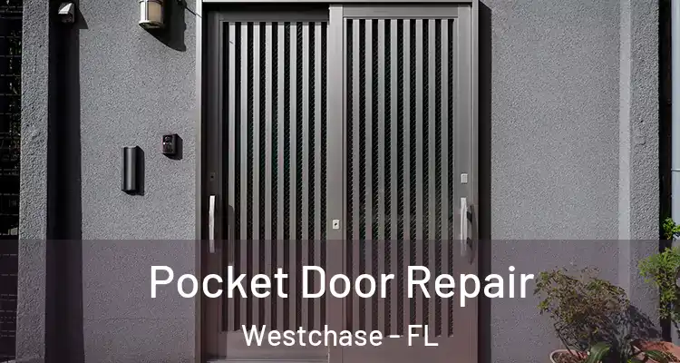 Pocket Door Repair Westchase - FL