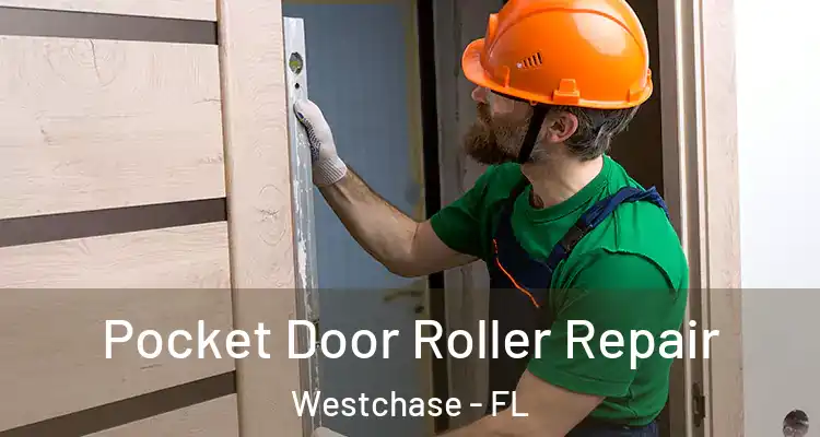  Pocket Door Roller Repair Westchase - FL